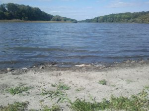 IMG_20130820_154318.jpg