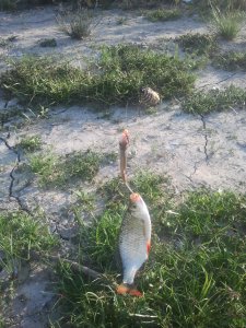 IMG_20130820_173637.jpg