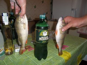 100_2478.JPG