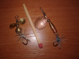 20130825_095059.jpg