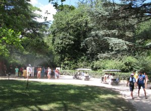 IMG_0631.JPG