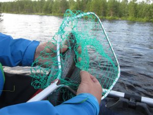 IMG_0262.JPG