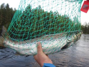 IMG_0264.JPG
