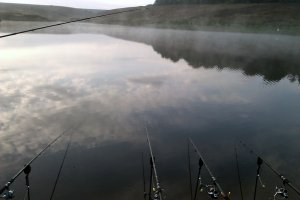 IMAG0145.jpg