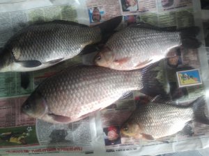 IMG_20130906_155402.jpg