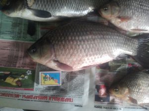 IMG_20130906_155439.jpg