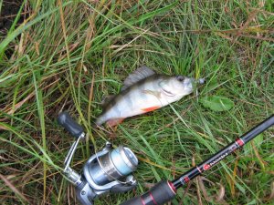 IMG_0567.JPG