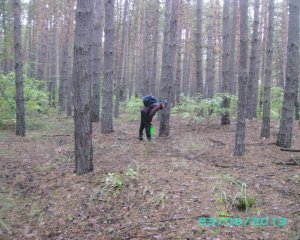PICT0014.JPG