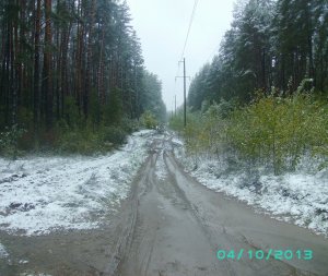 PICT0008.JPG