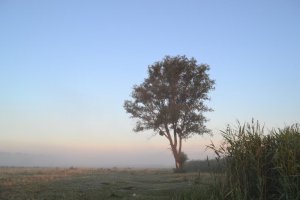 DSC_0408.JPG