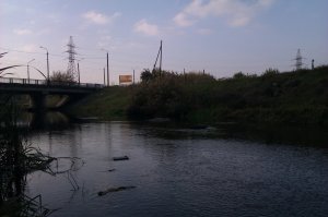 IMAG0584.jpg