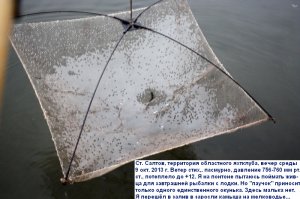 Копия 77 001.jpg
