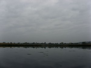 IMG_0743.JPG