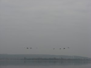 IMG_0748.JPG