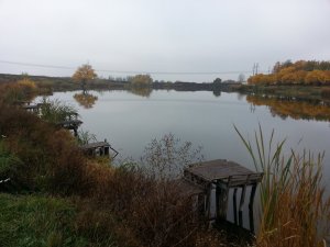 20131017_082818.jpg