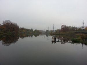 20131017_073441.jpg