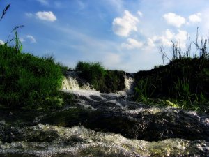 IMG_0718.JPG