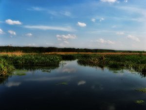 IMG_0719.JPG