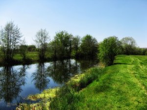 IMG_3593.JPG