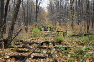 DSC_0979.jpg
