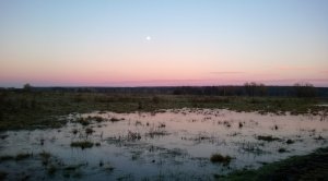 WP_20131020_004.jpg