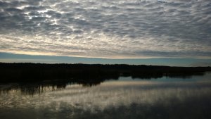 WP_20131020_019.jpg
