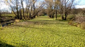 WP_20131020_150.jpg