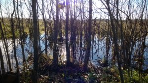 WP_20131020_184.jpg