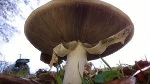 WP_20131020_109.jpg