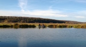 WP_20131020_185.jpg
