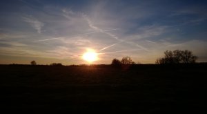 WP_20131020_187.jpg