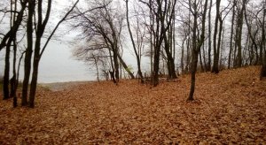 WP_20131027_030.jpg