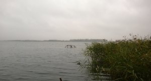 WP_20131027_039.jpg