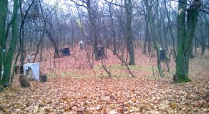 WP_20131027_033.jpg