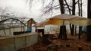 WP_20131027_023.jpg