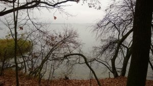WP_20131027_052.jpg