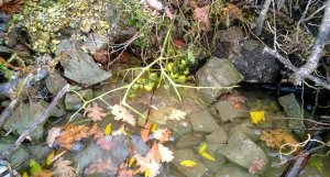 WP_20131027_013.jpg