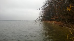 WP_20131027_012.jpg