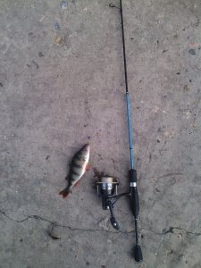 IMG_20131101_095422.jpg