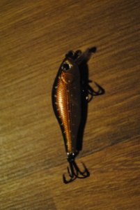 DSC_0384.JPG