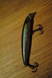 DSC_0386.JPG