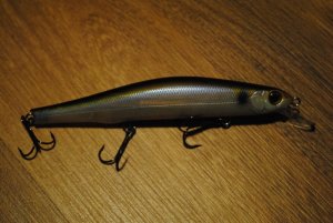 DSC_0380.JPG