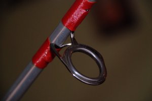 DSC_6465.JPG