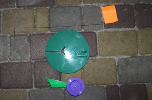 IMG_3579.JPG