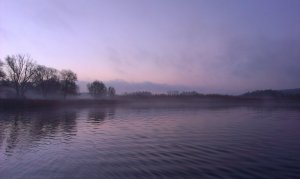 IMAG0239.jpg