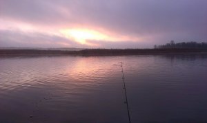 IMAG0240.jpg