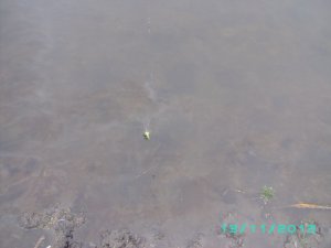 PICT0073.JPG