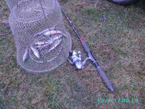 PICT0077.JPG