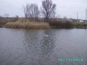 PICT0086.JPG