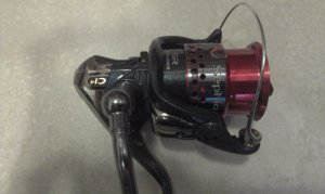 IMAG0822.jpg